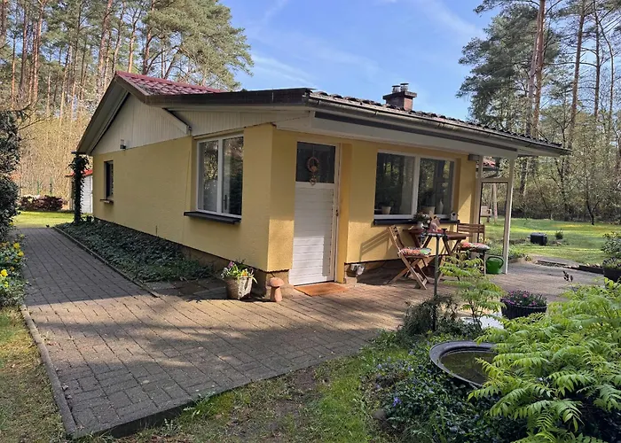 Ferienhaus im Wald